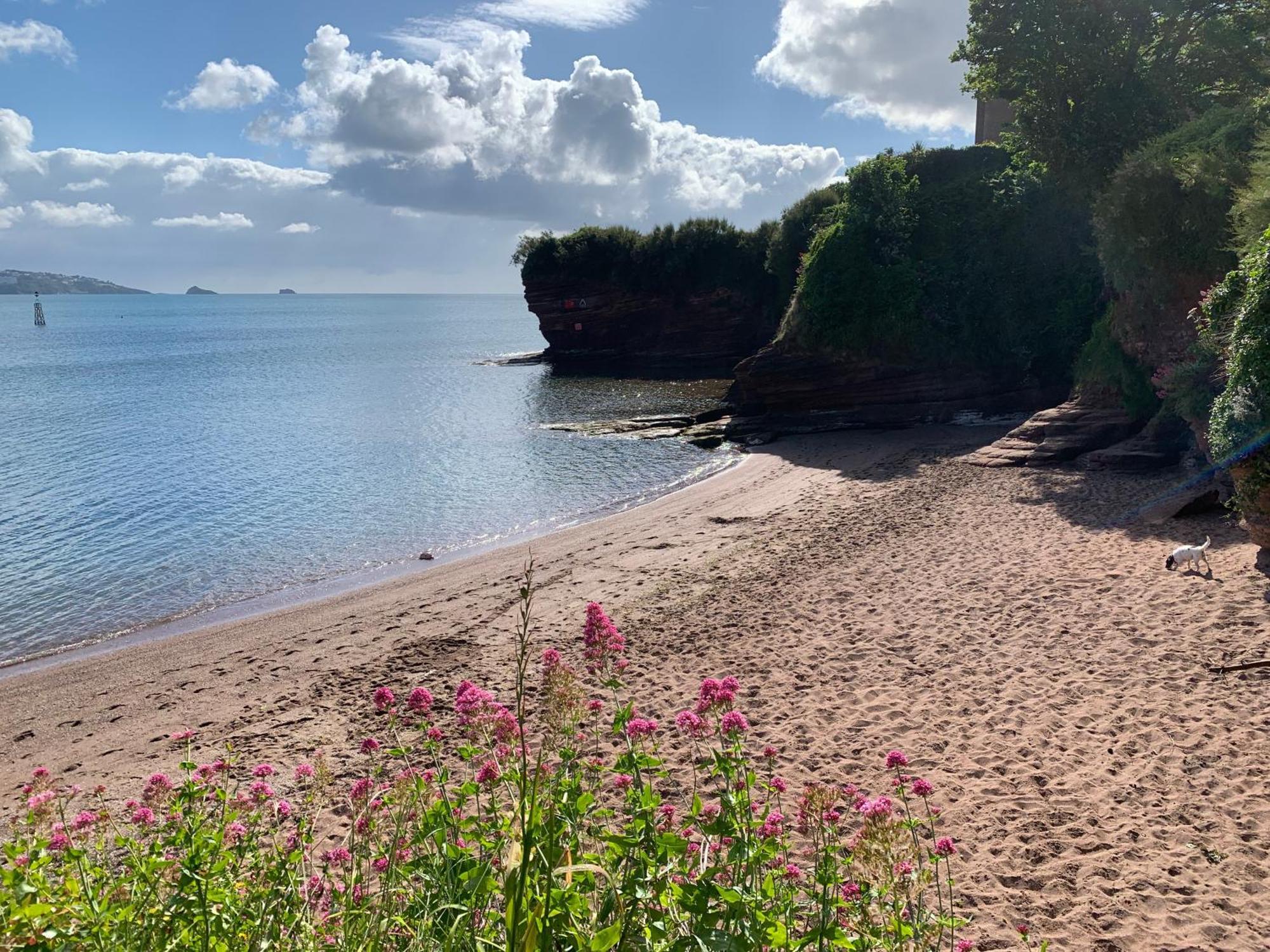 Guest house San Brelade